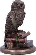 An Owl's Tale 14.5cm
