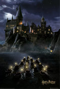 Harry Potter - Hogwarts in the Night Poster 61 × 91.5 cm